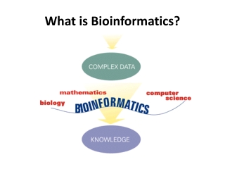 What is Bioinformatics?