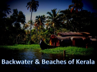 Backwater &amp; Beaches of Kerala
