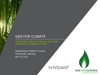 Gas for Climate