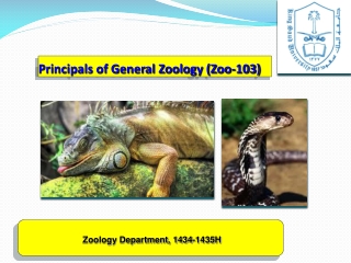 Principals of General Zoology (Zoo-103)