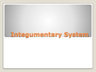 Integumentary System