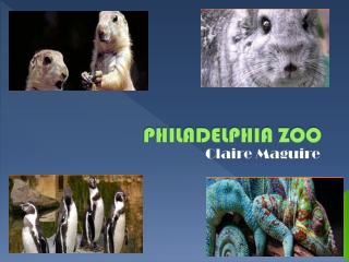 PHILADELPHIA ZOO