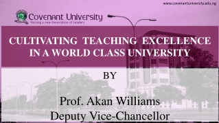 CULTIVATING TEACHING EXCELLENCE IN A WORLD CLASS UNIVERSITY