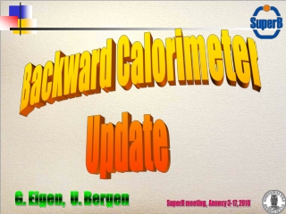 Backward Calorimeter Update