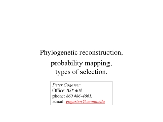 Phylogenetic reconstruction, probability mapping, types of selection.