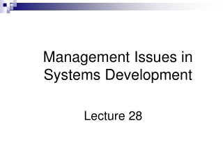 Management Issues in Systems Development