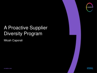 A Proactive Supplier Diversity Program