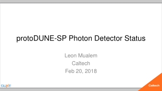 protoDUNE -SP Photon Detector Status