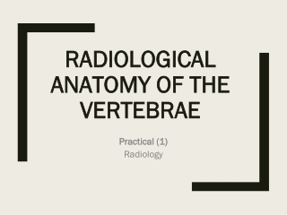 RADIOLOGICAL ANATOMY OF THE VERTEBRAE