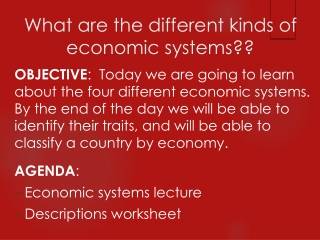 What are the different kinds of economic systems??