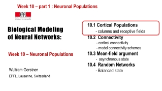 Biological Modeling of Neural Networks: