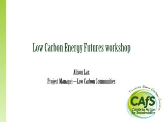 Low Carbon Energy Futures workshop
