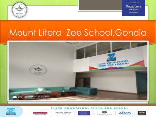 Mount Litera Zee School,Gondia