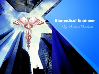 Biomedical Engineer