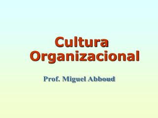 Cultura Organizacional