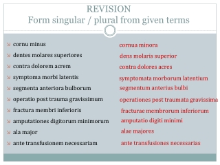 REVISION Form singular / plural from given terms