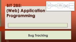 BIT 285 : ( Web) Application Programming