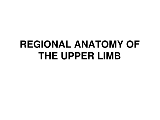REGIONAL ANATOMY OF THE UPPER LIMB