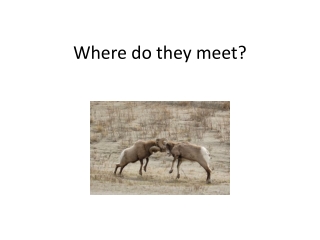 Where do they meet?