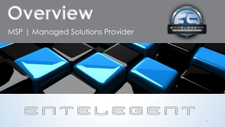 Overview MSP | Managed Solutions Provider