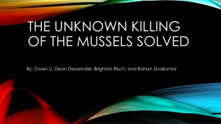 The unknown killing of the Mussels Solved