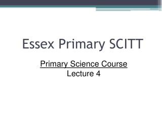 Essex Primary SCITT