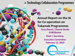 Annual Report on the IA for Co-operation on Tokamak Programmes