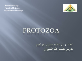 Benha University Faculty of Science Department of Zoology