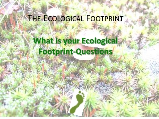 The Ecological Footprint