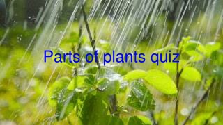 Parts of plants quiz