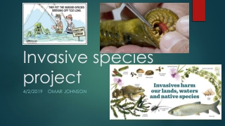 Invasive species project