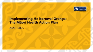 Implementing He Korowai Oranga : The Māori Health Action Plan