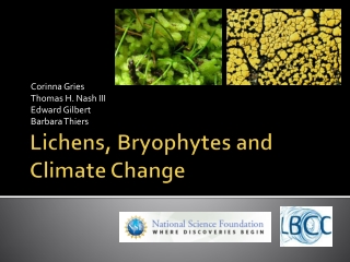 Lichens, Bryophytes and Climate Change