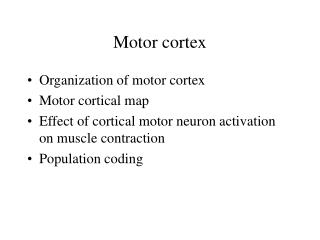 PPT - Motor cortex PowerPoint Presentation, free download - ID:895708