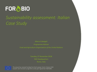 Sustainability assessment: Italian Case Study