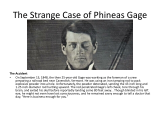 The Strange Case of Phineas Gage