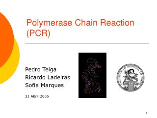 Polymerase Chain Reaction (PCR)