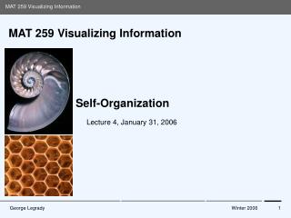 MAT 259 Visualizing Information