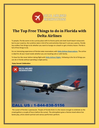 The Top Free Things to do in Florida with Delta Airlines