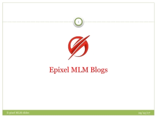 Epixel MLM Blogs