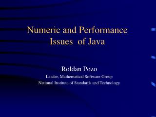 Numeric and Performance Issues of Java