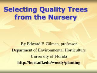 Selecting Quality Trees from the Nursery