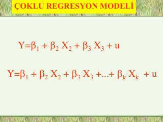 ÇOKLU REGRESYON MODELİ