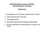 Interkulturelles Lernen und Arten interkulturellen Trainings