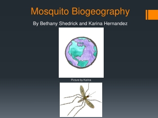 Mosquito Biogeography