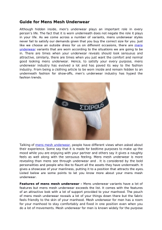 Guide for Mens Mesh Underwear