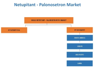 Netupitant - Palonosetron Market Expected to Reach $527,187 Million by 2022