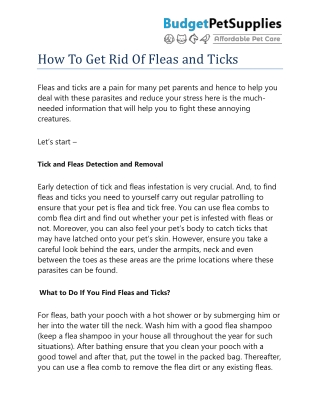 How To Get Rid Of Fleas and Ticks- BudgetPetSupplies