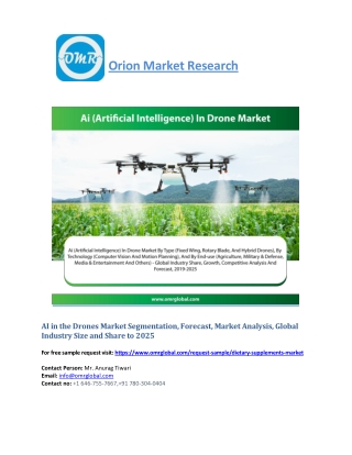 AI in the Drones Market: Global Market Size, Industry Trends, Leading Players, Market Share and Forecast 2019-2025