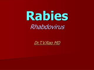 Rabies